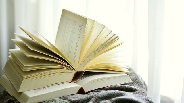 Find a New Read at Brattle Book Shop